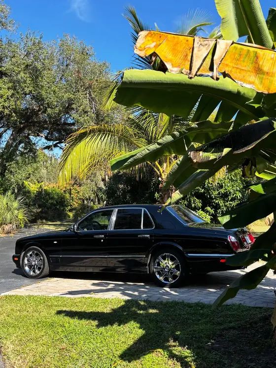 Black Bentley Arnage side profile framed by banana leaves and palms